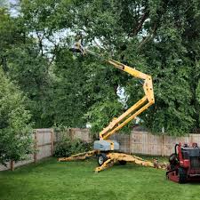 Best Tree Removal  in Rosebud, TX