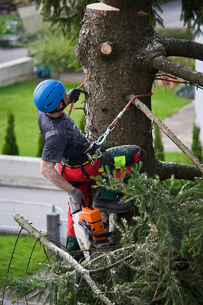 Best Lawn Watering Services  in Rosebud, TX